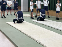 体育①