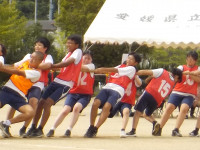DSCN2693